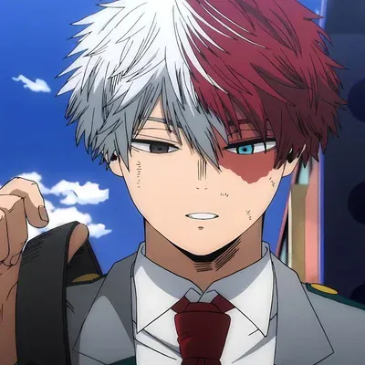 Shoto Todoroki